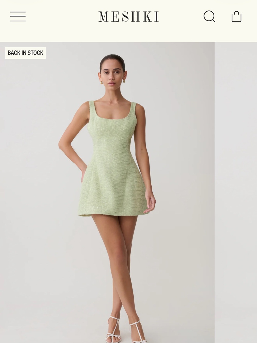 Meshki Mini Dress in Light Green